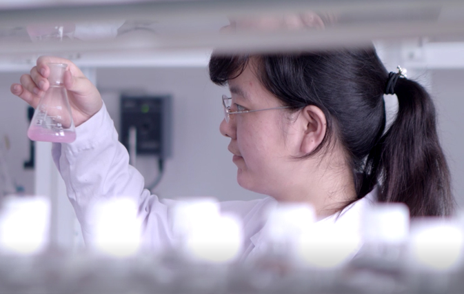 專(zhuān)業(yè)團(tuán)隊(duì) 專(zhuān)業(yè)團(tuán)隊(duì)